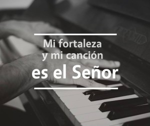 Mi canción